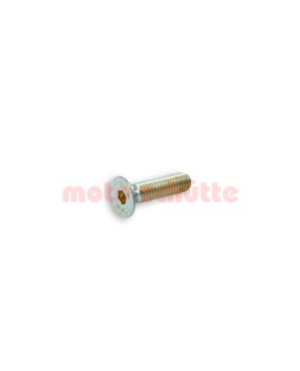 Clutch Mounting Screw M8 x 30